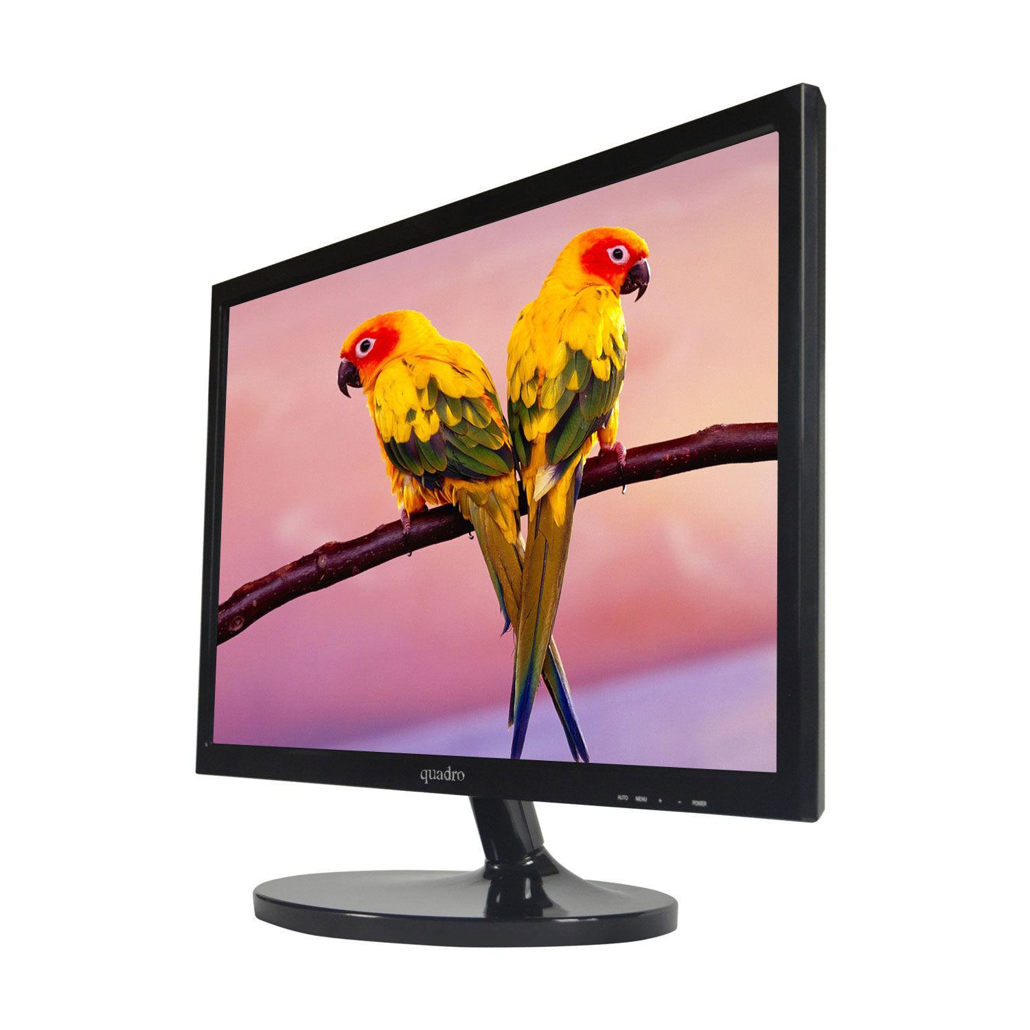 QUADRO 21"5 LED 215QE 5MS 60HZ HDMI 1920X1080 MONİTÖR